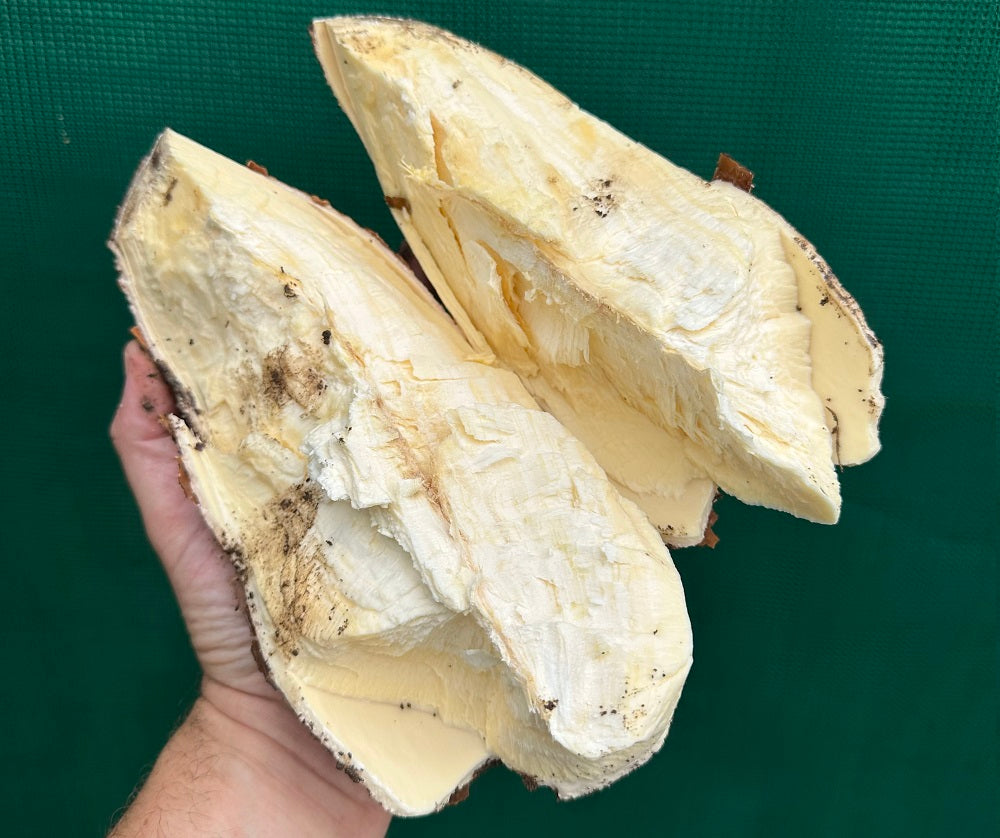 How to Grow Cassava