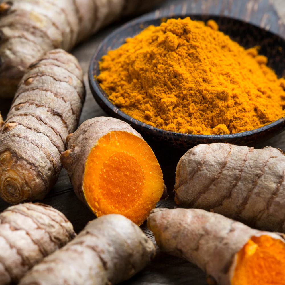 How to Grow Tumeric - Edible Jungle Nursery