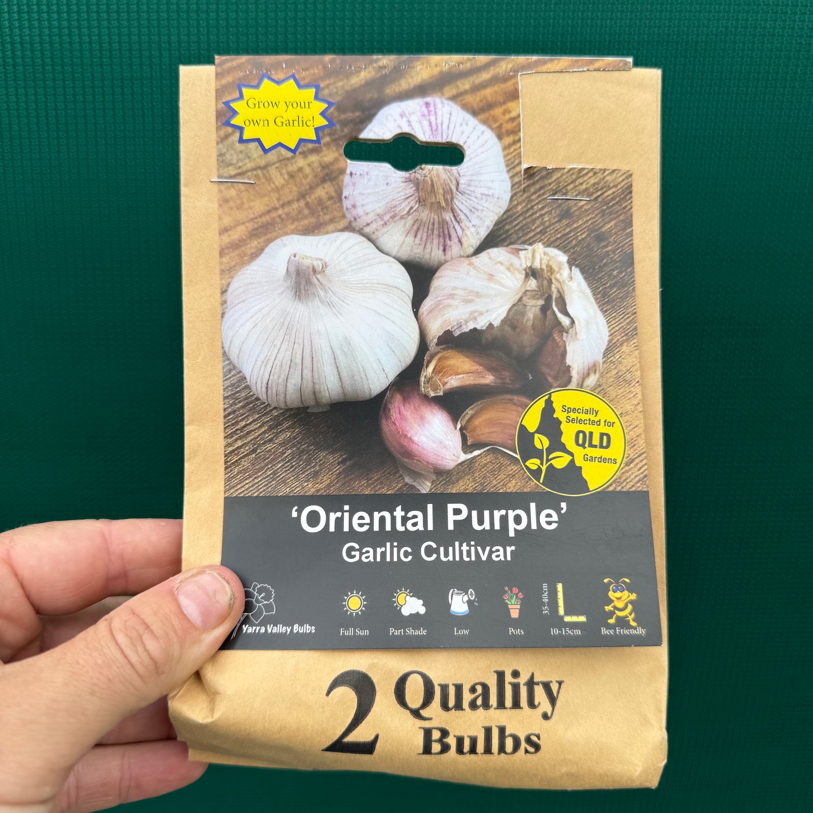 Garlic ‘Oriental Purple’ NEW