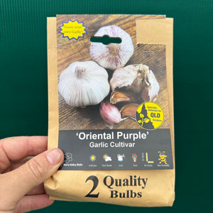Garlic ‘Oriental Purple’ NEW