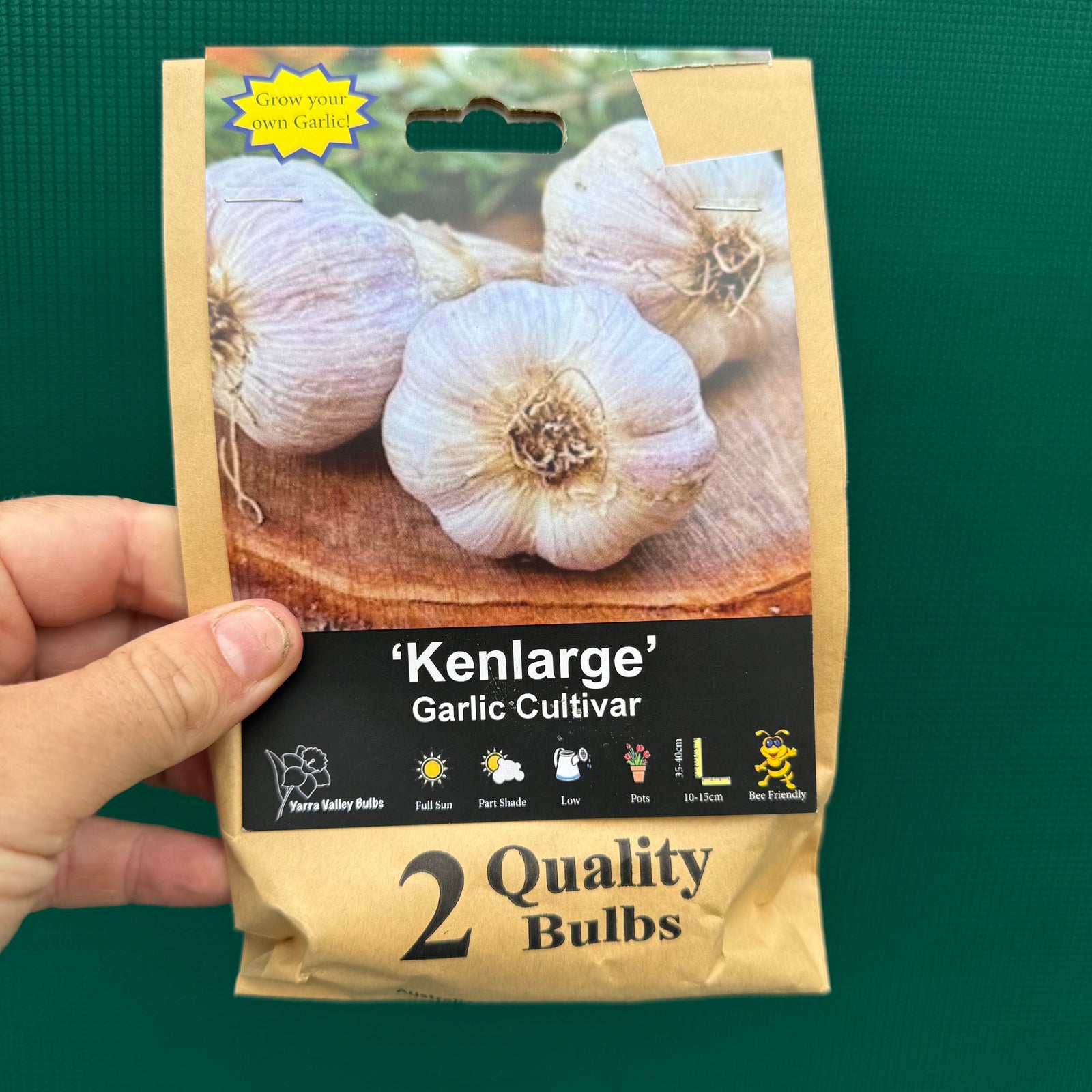 Garlic ‘Kenlarge’ NEW