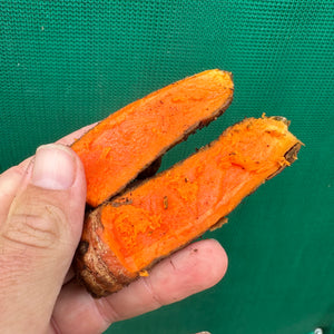 Tumeric - Madras