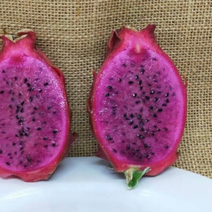 Dragon Fruit ‘Malay Purple’