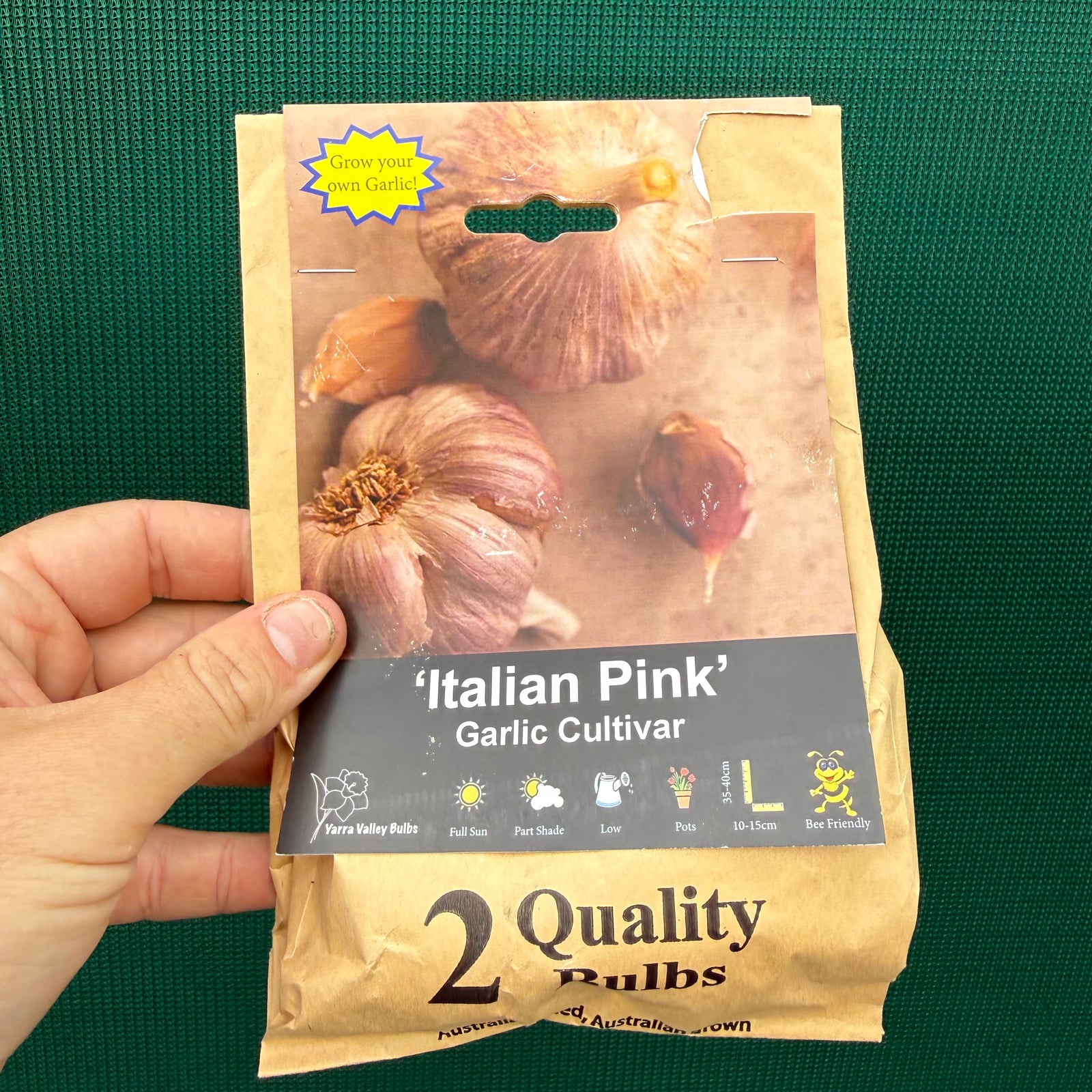 Garlic ‘Italian Pink’ NEW