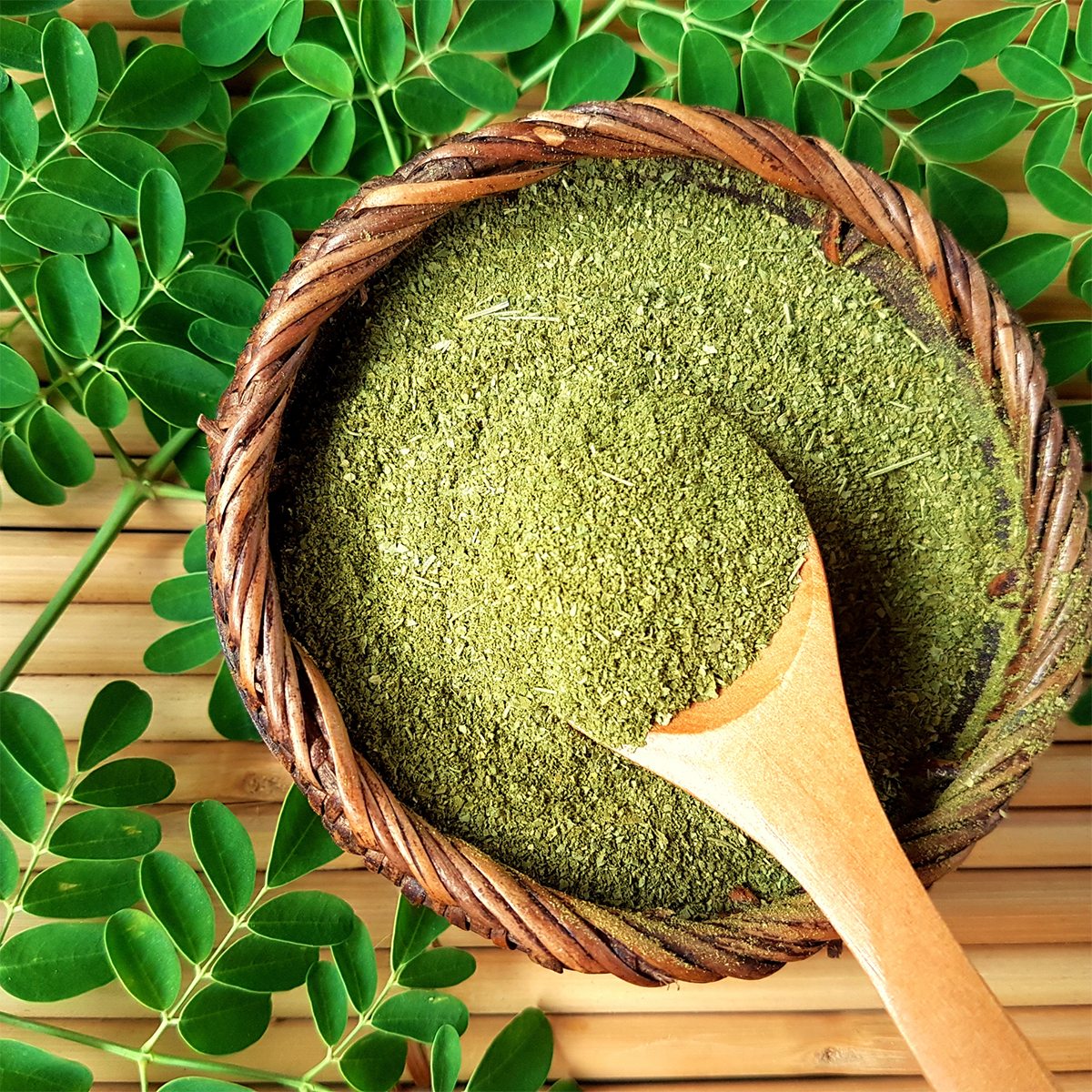 Moringa - Moringa oleif NEW