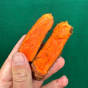 Tumeric - Madras
