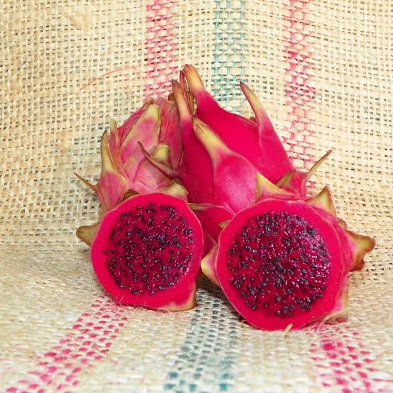 Dragon Fruit ‘Yellow 68’