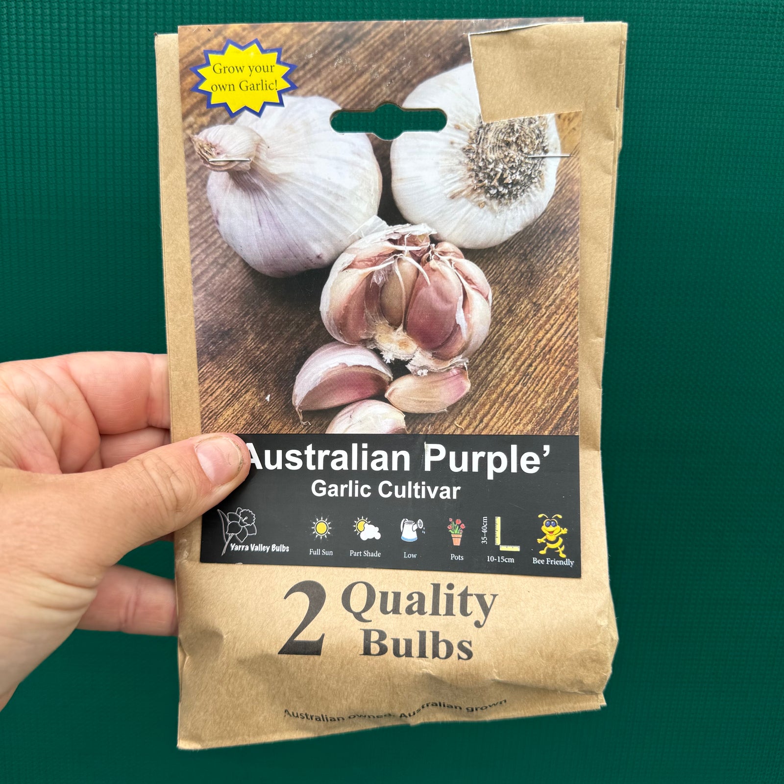 Garlic ‘Australian Purple’ NEW