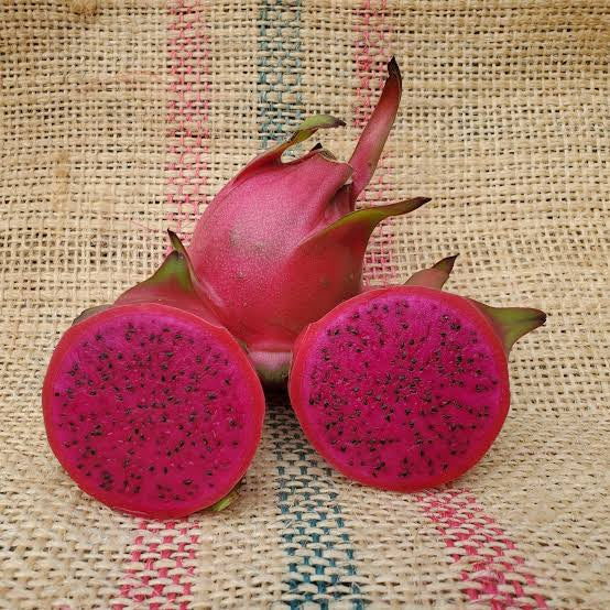 Dragon Fruit ‘Mister Woo’