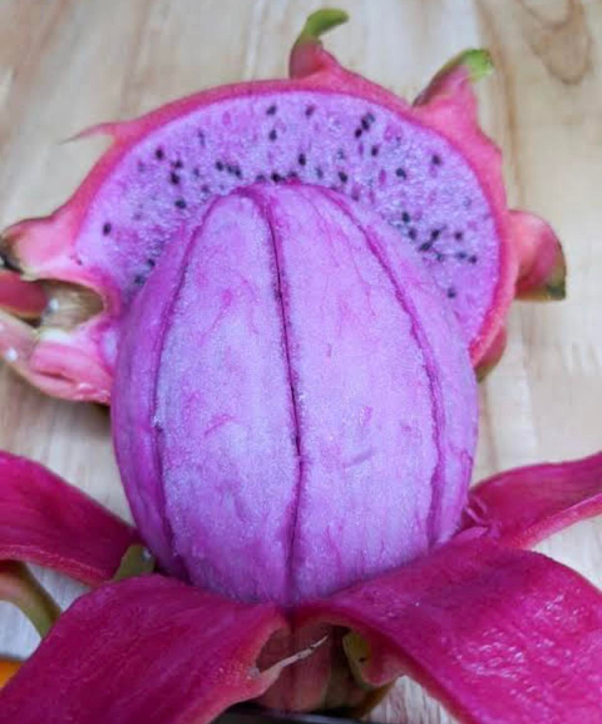 Dragon Fruit ‘Dark Star’