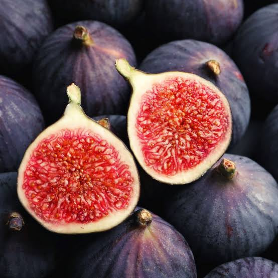 Fig Tree - Black Genoa