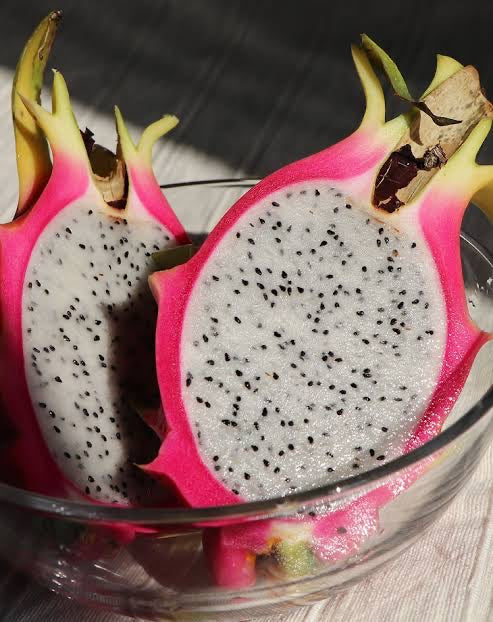 Dragon Fruit ‘Korean White’
