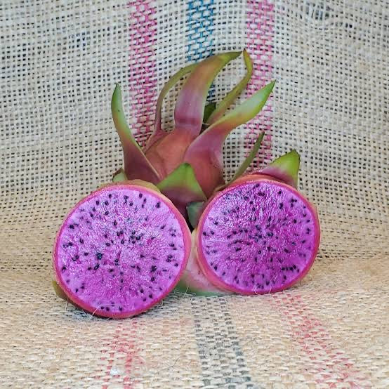 Dragon Fruit ‘La Verne’