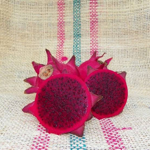 Dragon Fruit ‘Orejona’