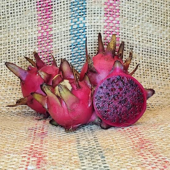 Michelle dragon fruit