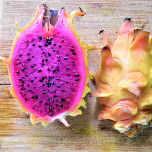 Dragon Fruit ‘Dwarf Orange’