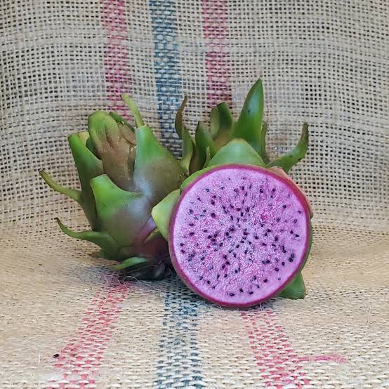 Dragon Fruit ‘Edgar’s Baby’