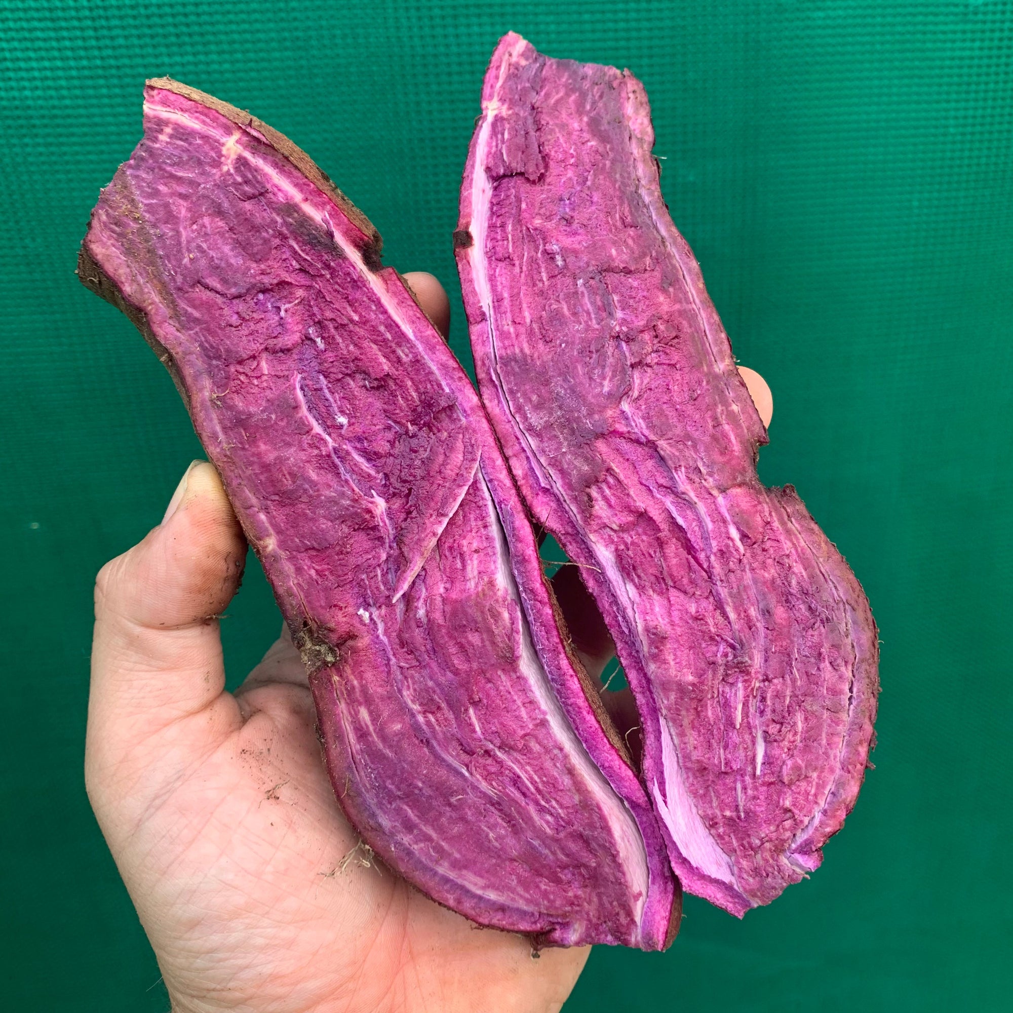 Sweet Potato ‘Molokai Purple’