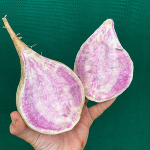 Sweet Potato ‘Hawaiian Purple’