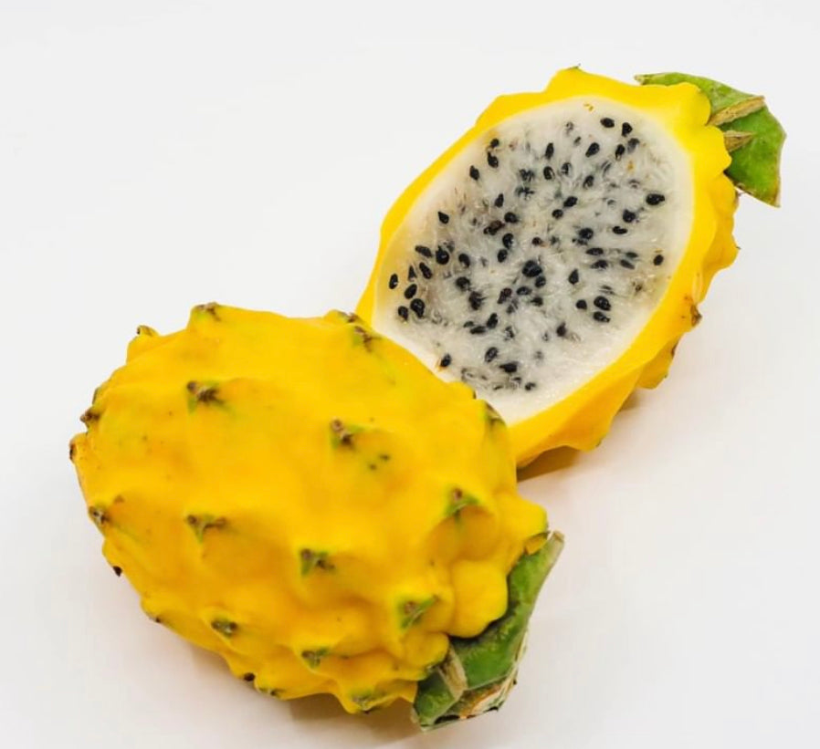 Dragon Fruit ‘Yellow’