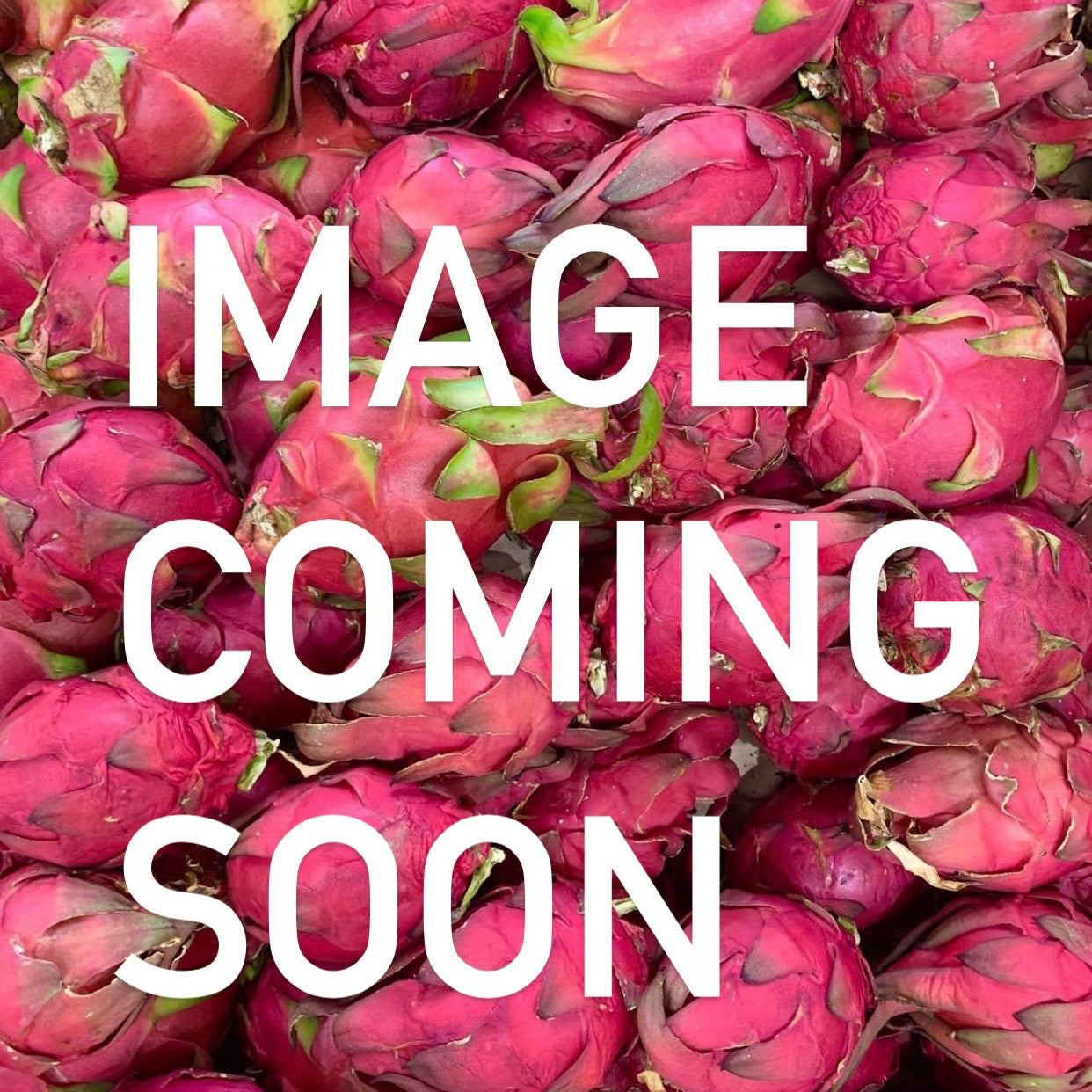 Dragon Fruit ‘F1’