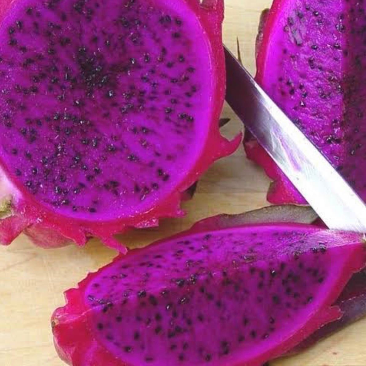 Dragon Fruit ‘Scott’s Purple’