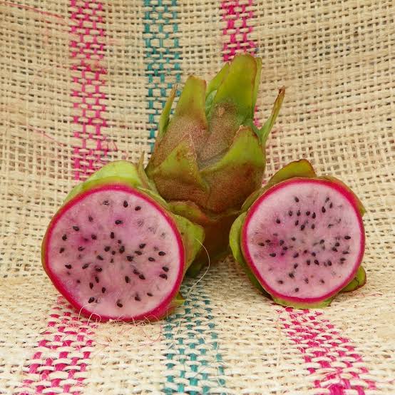 Kathy Van Arum dragon fruit