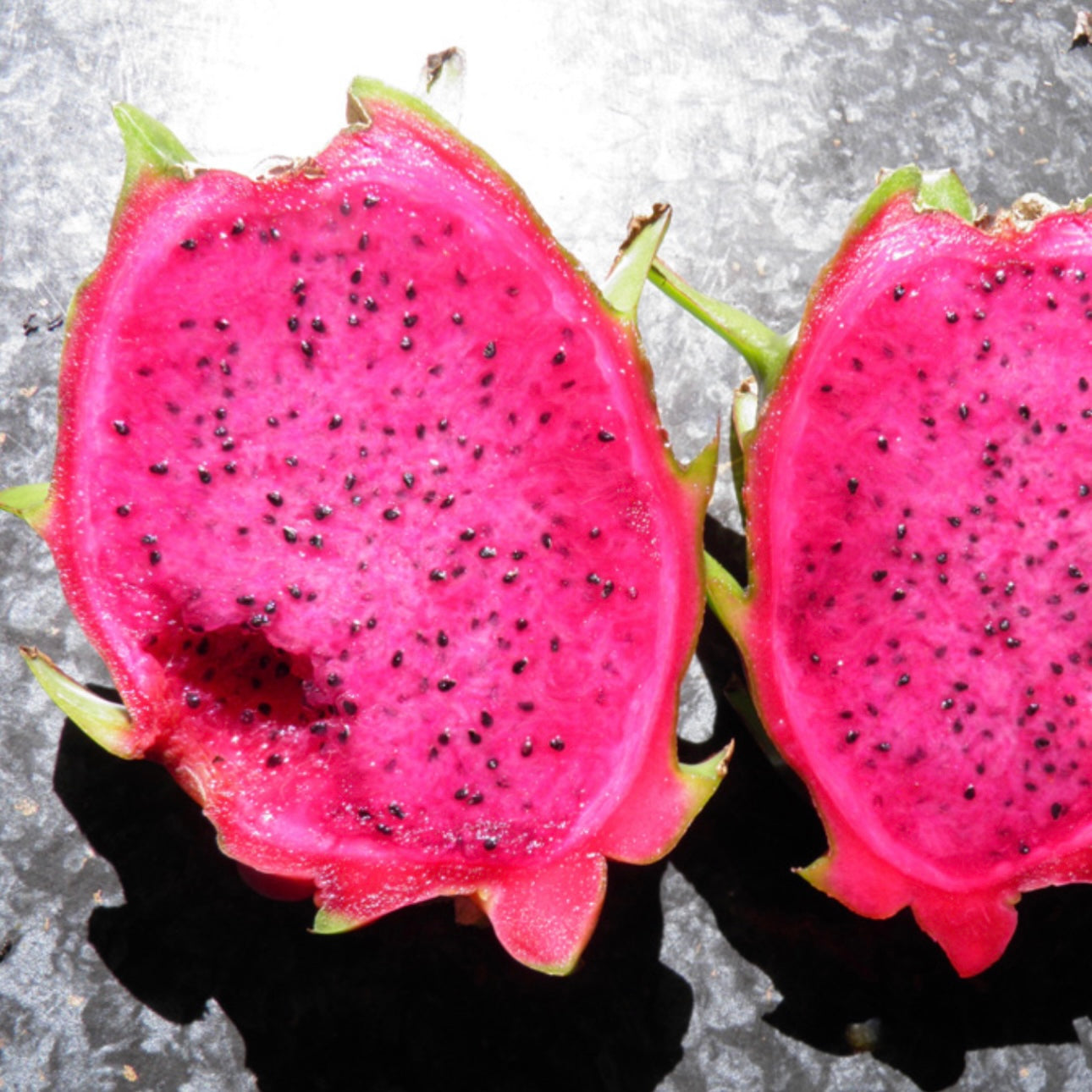 Dragon Fruit ‘Jade Red’