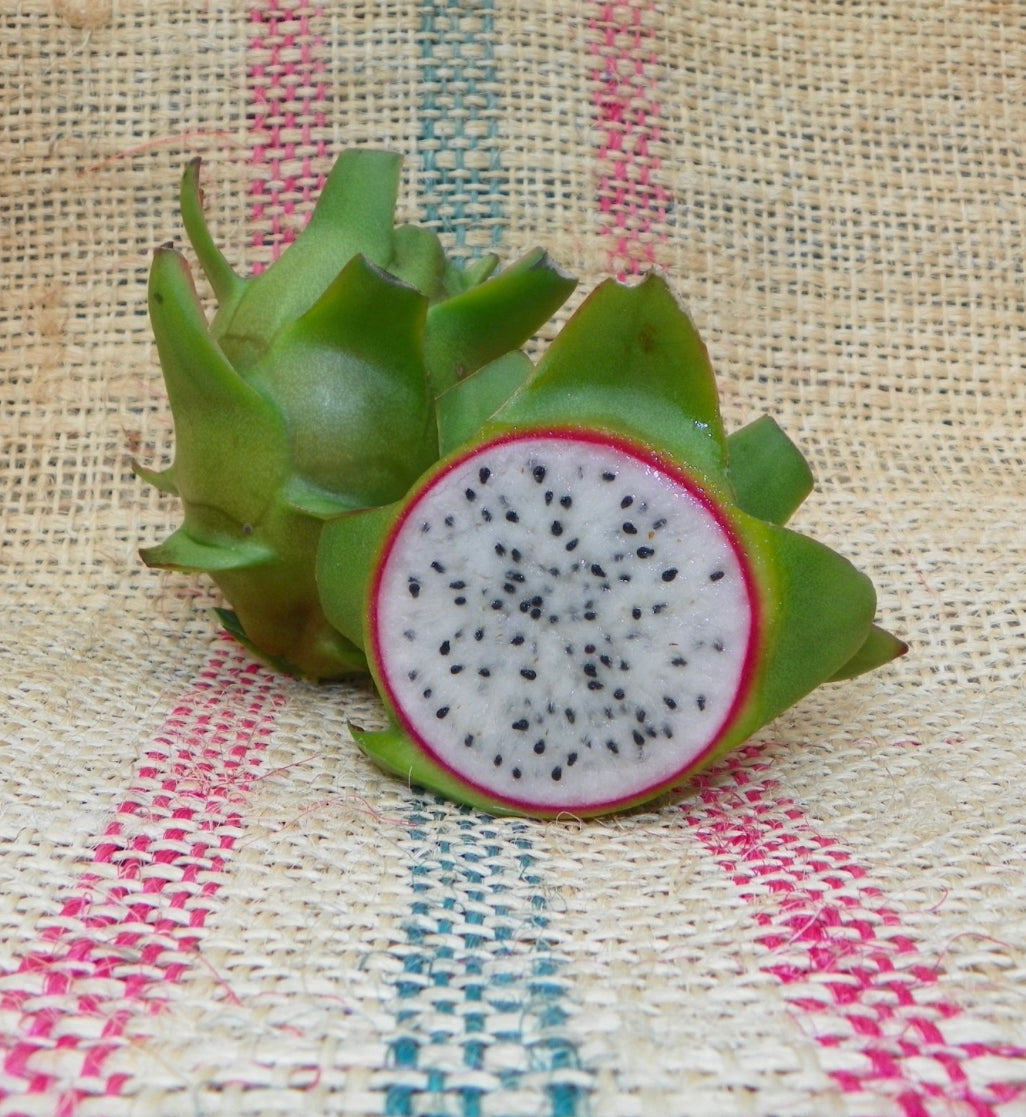 Dragon Fruit ‘Connie Mayer’