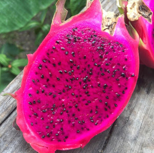 Dragon Fruit ‘Red’