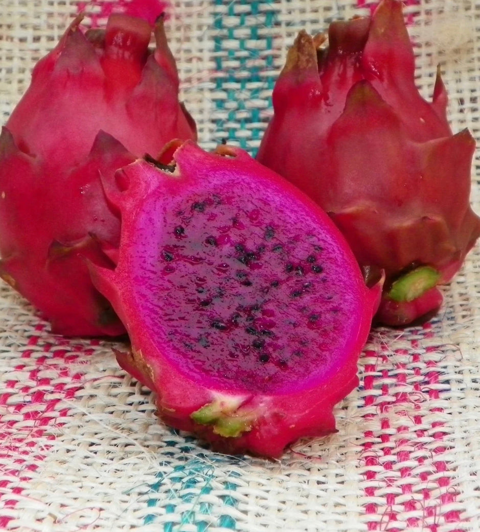 Dragon Fruit ‘Voodoo Child’