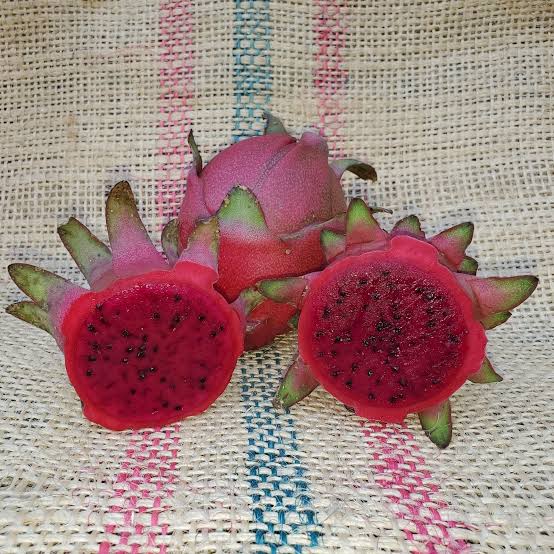 Lisa dragon fruit photo 2