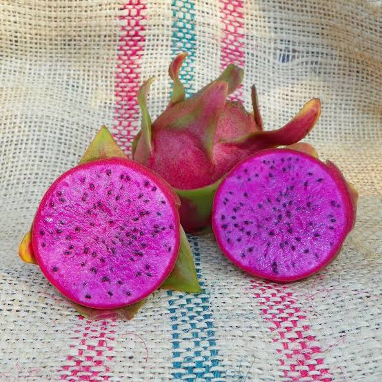 Dragon Fruit ‘Cosmic Charlie’