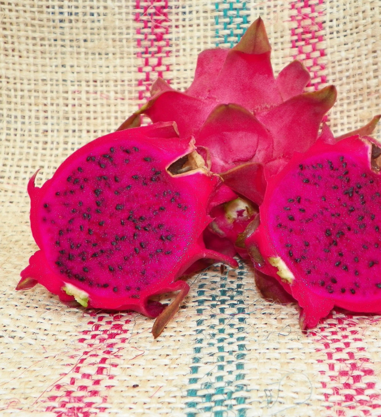 Dragon Fruit ‘Makisupa’