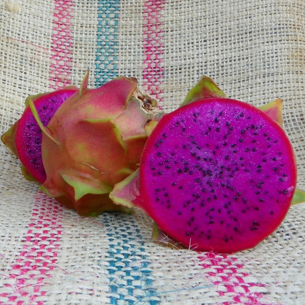 Dragon Fruit ‘Rixford’