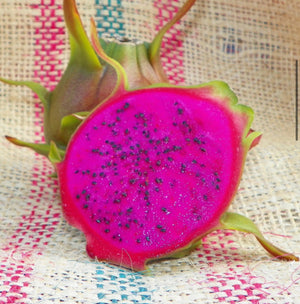 Dragon Fruit ‘Condor’