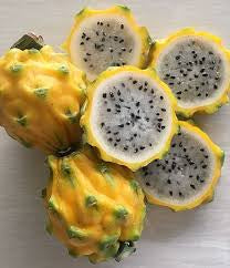 Dragon Fruit ‘Palora’