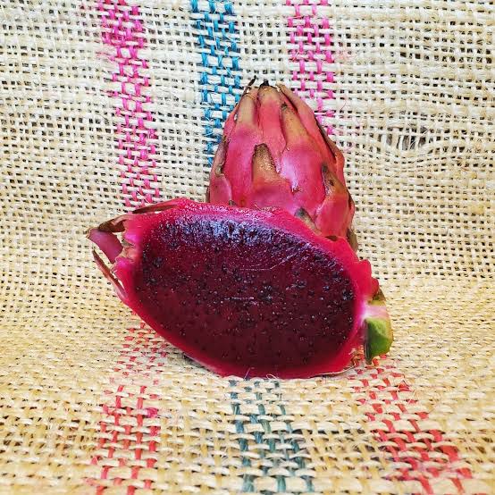 El Grullo dragon fruit