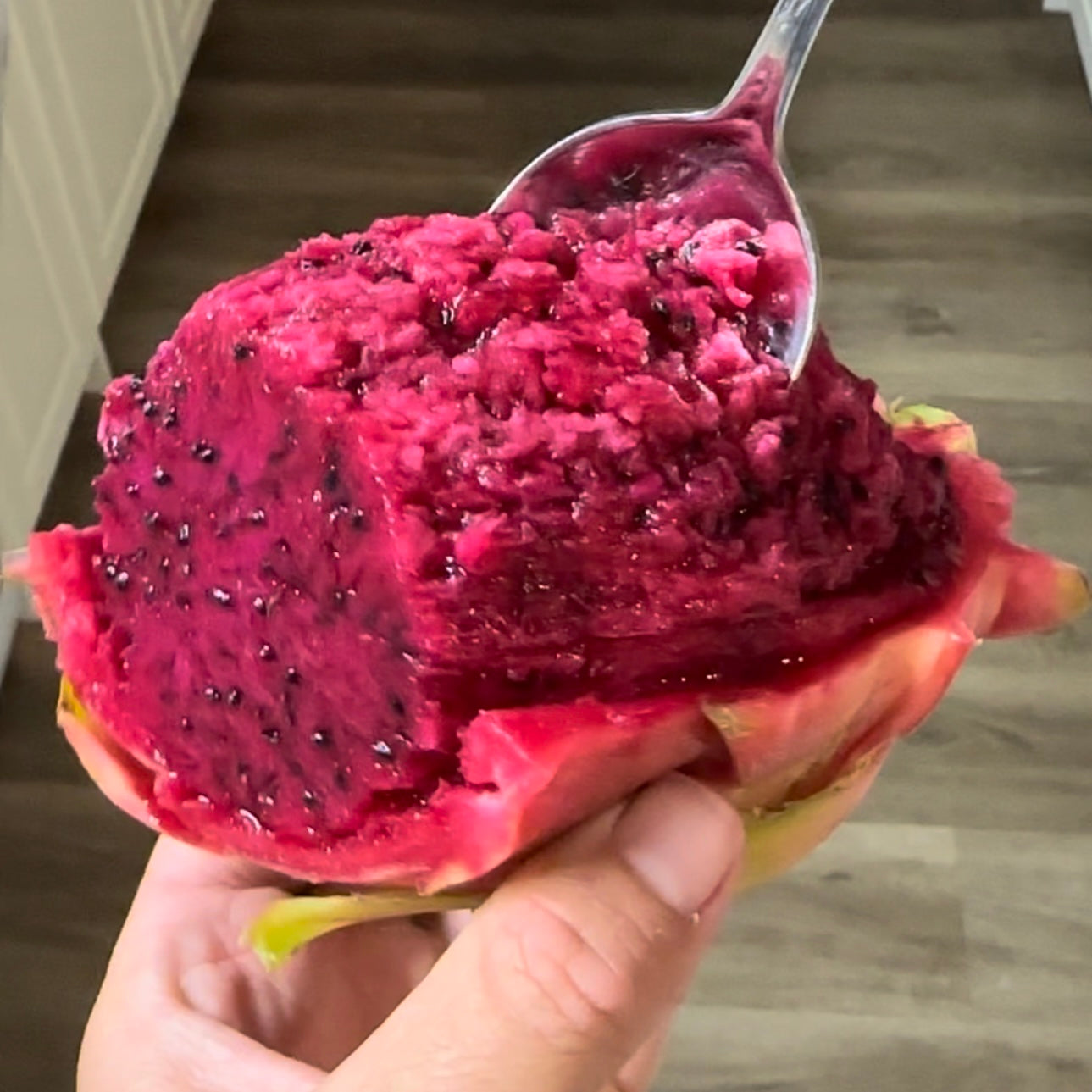 Dragon Fruit ‘Red’