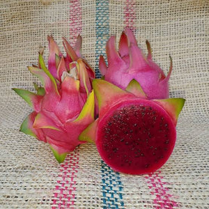 Dragon Fruit ‘Sin Espinas’