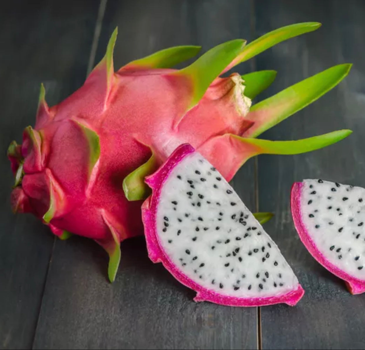 Dragon Fruit ‘Oval White’