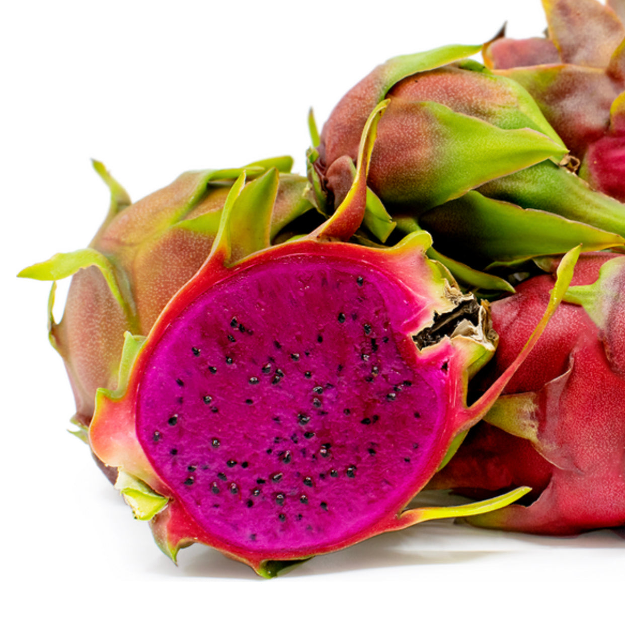 Dragon Fruit ‘American Beauty’