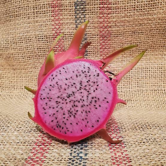 Dragon Fruit ‘Townsend Pink’